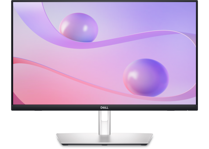 Dell 24