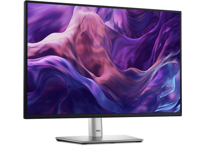 Dell 24